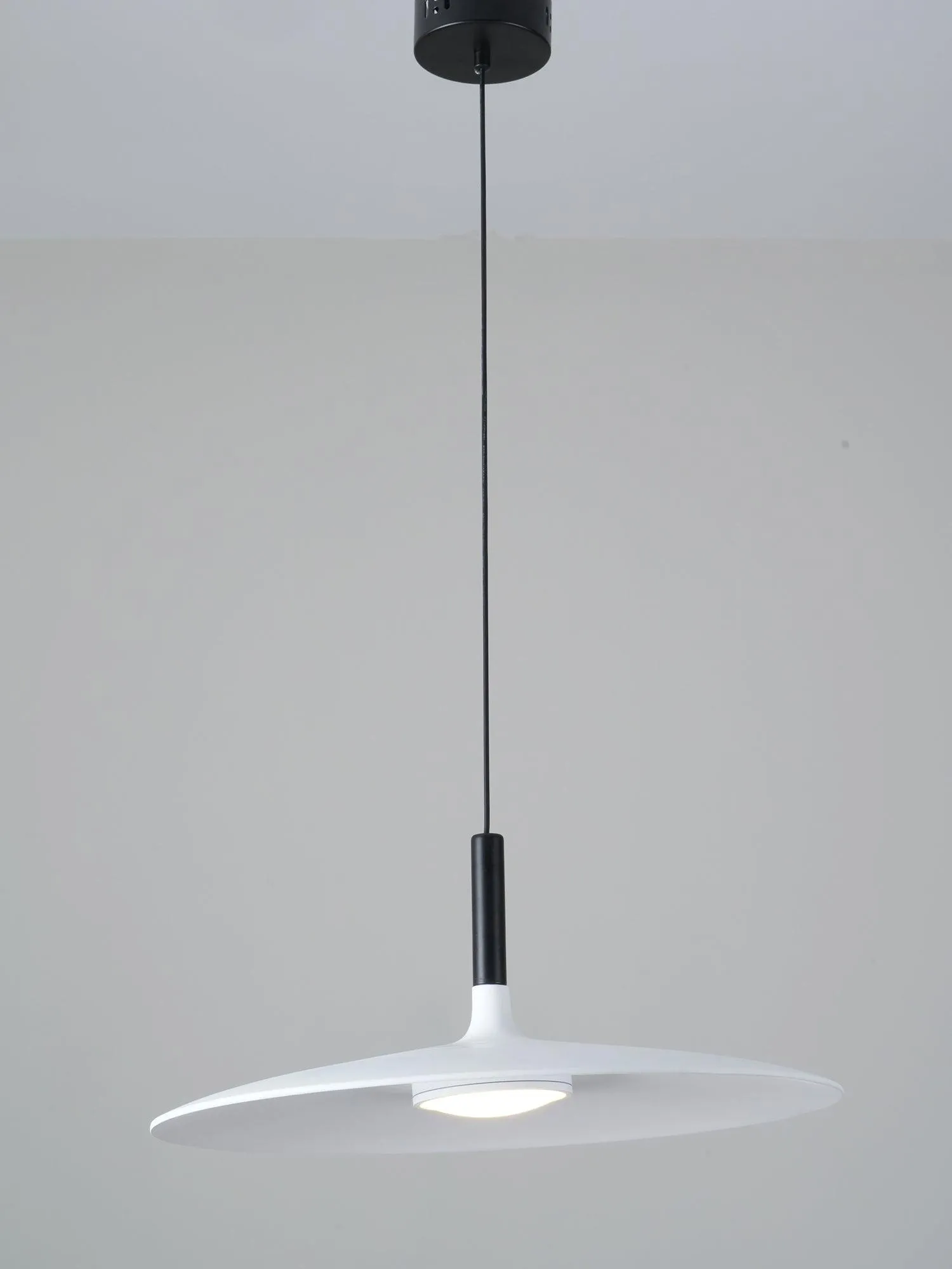 Aplomb Metal Pendant Lamp