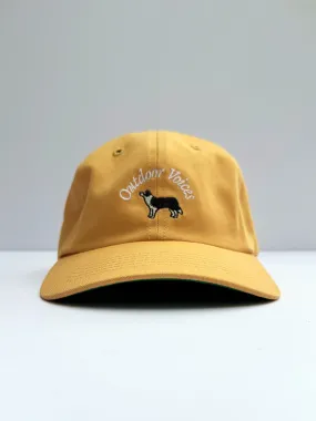 Doing Good Things Dog Hat