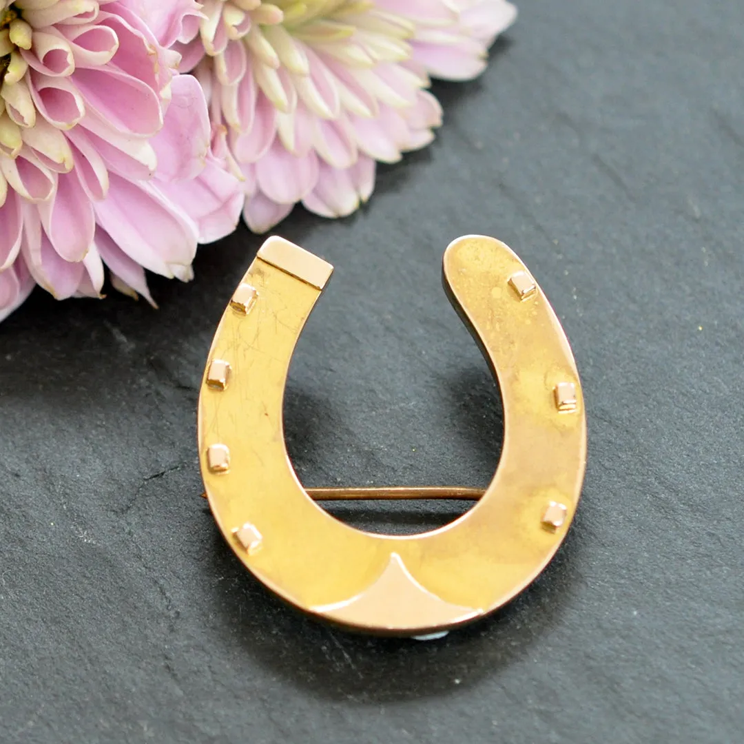 Horseshoe Brooch