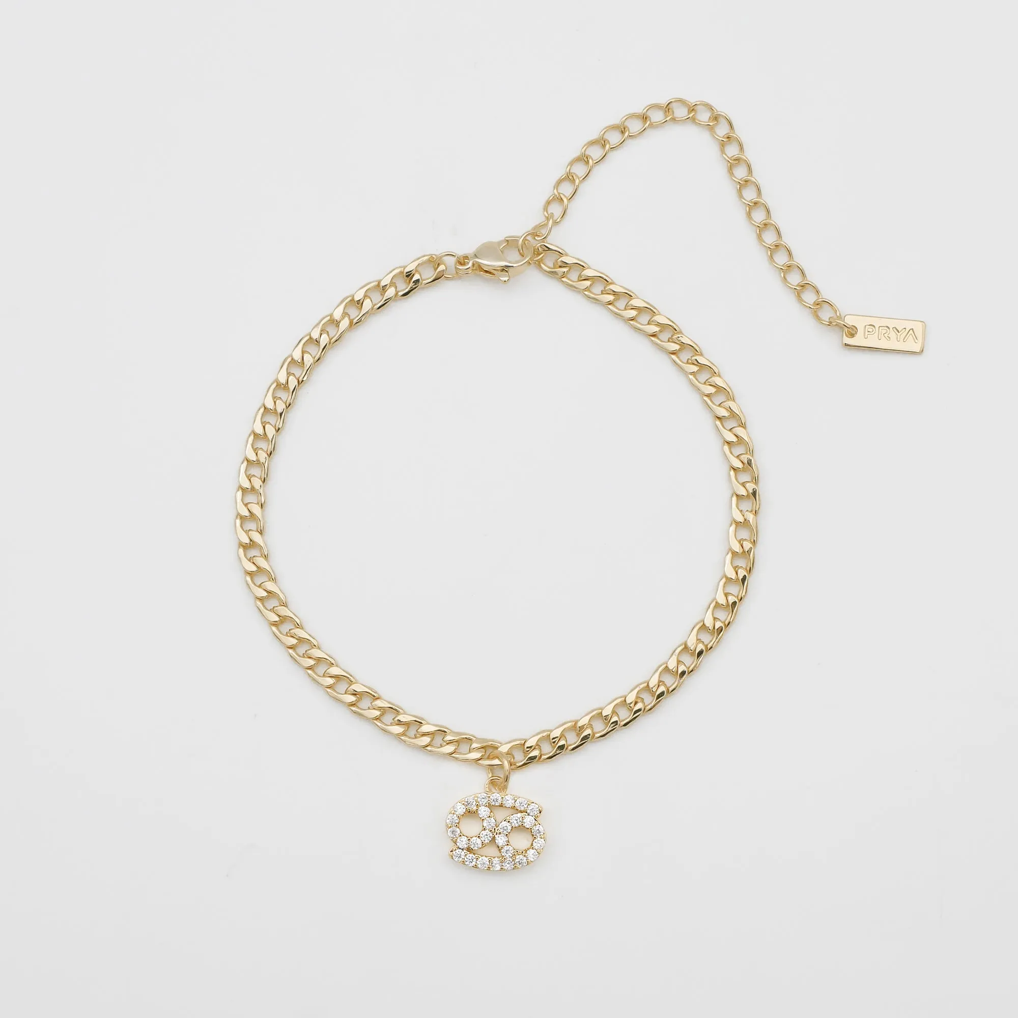 ICY Zodiac Symbol Anklet