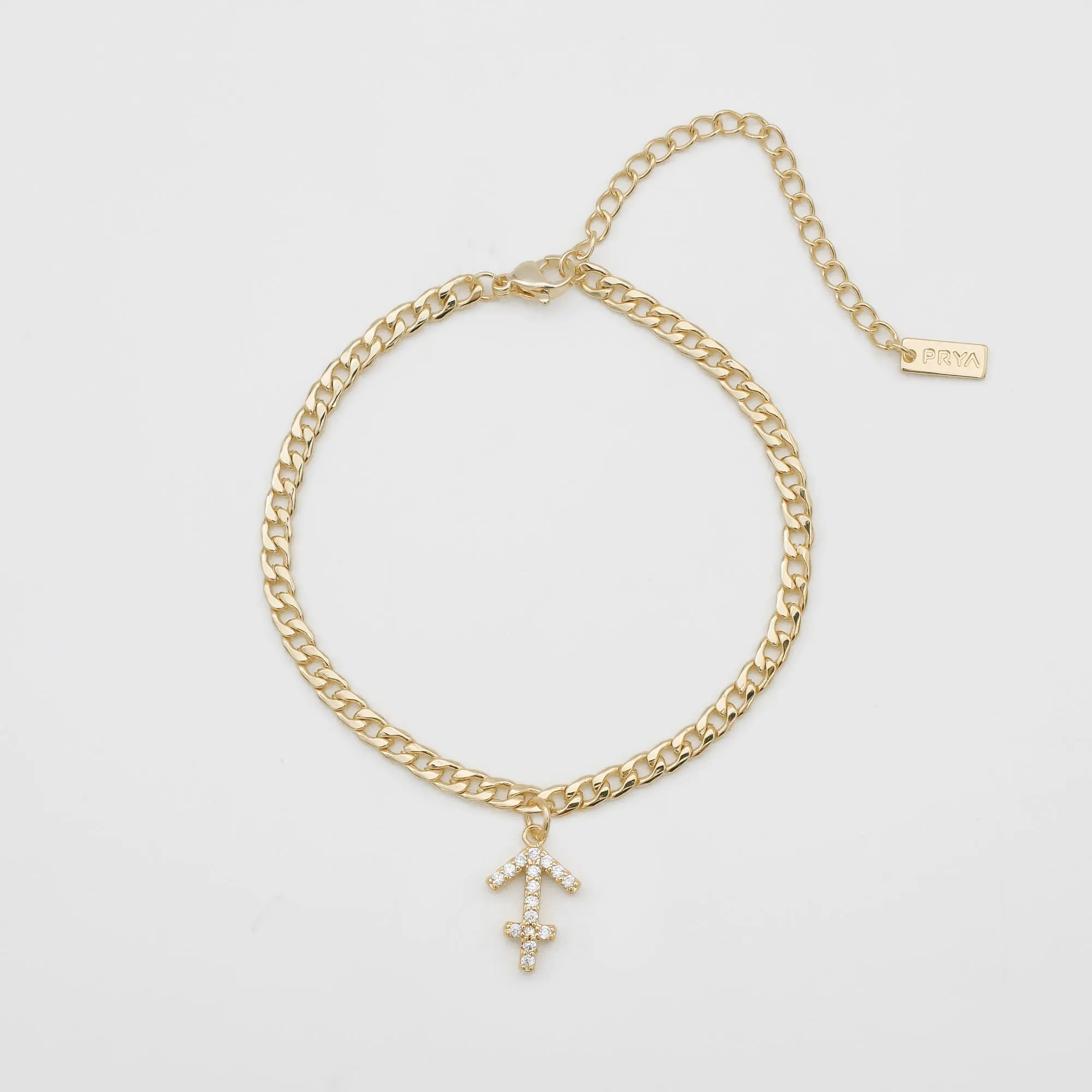 ICY Zodiac Symbol Anklet