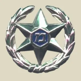 IDF Israel Police Classic Hat Insignia